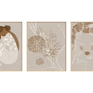 810484 סט תמונות