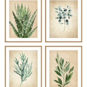 4 תמונות בוטניקה 810483